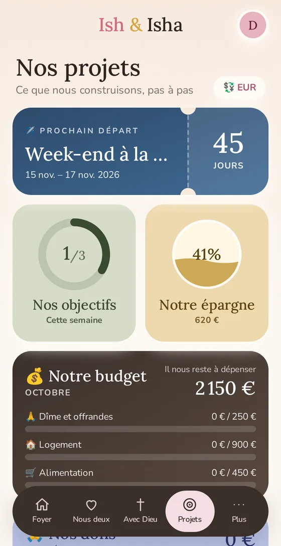 Projets, budget et voyages